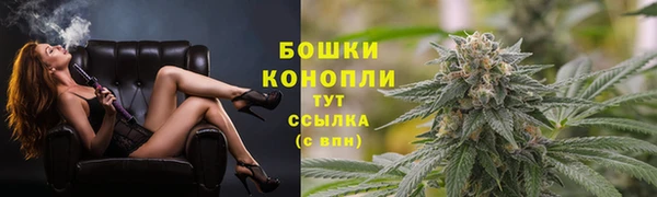 тгк Краснослободск
