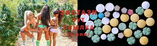 тгк Краснослободск