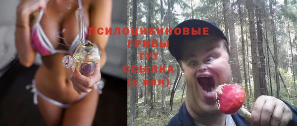 тгк Краснослободск