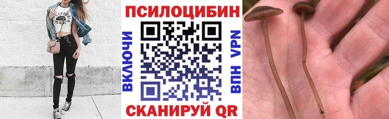 Галлюциногенные грибы GOLDEN TEACHER  Купить закладки  Курчатов 